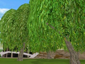 There_Pyrena_Zosime_2015-01-09 23-01-21